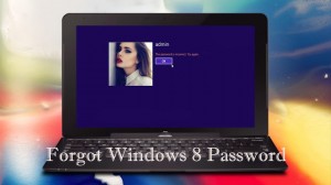 reset Windows 8 password